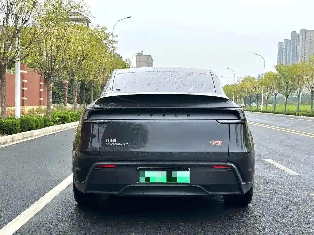 Tesla Model Y — фото 3
