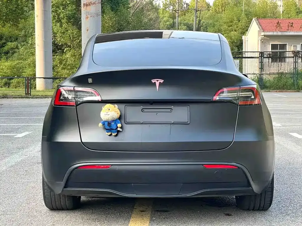 Tesla Model Y — фото 2