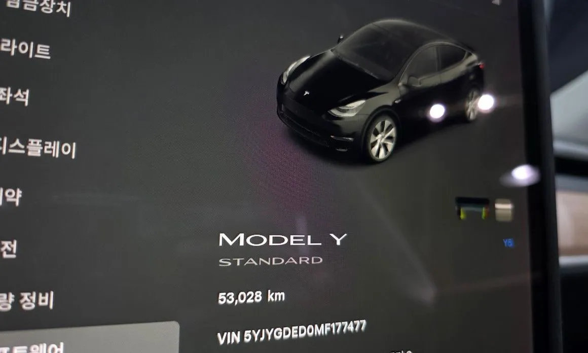 Tesla Model Y — фото 5