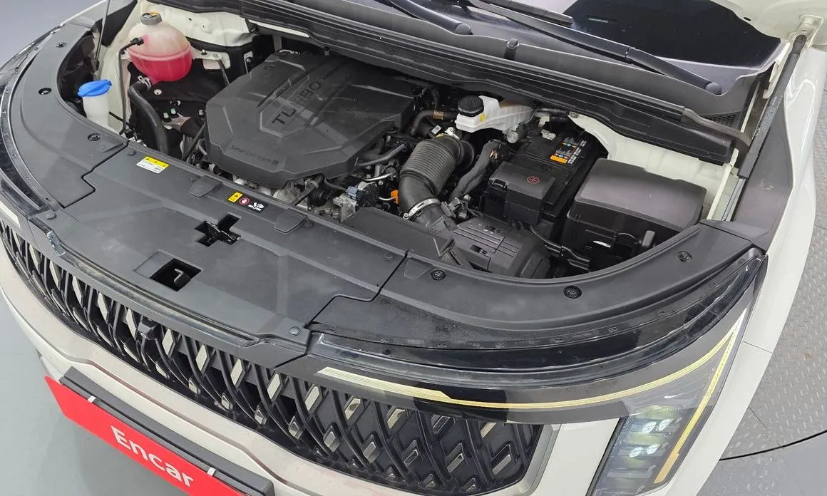 Kia Carnival — фото 10
