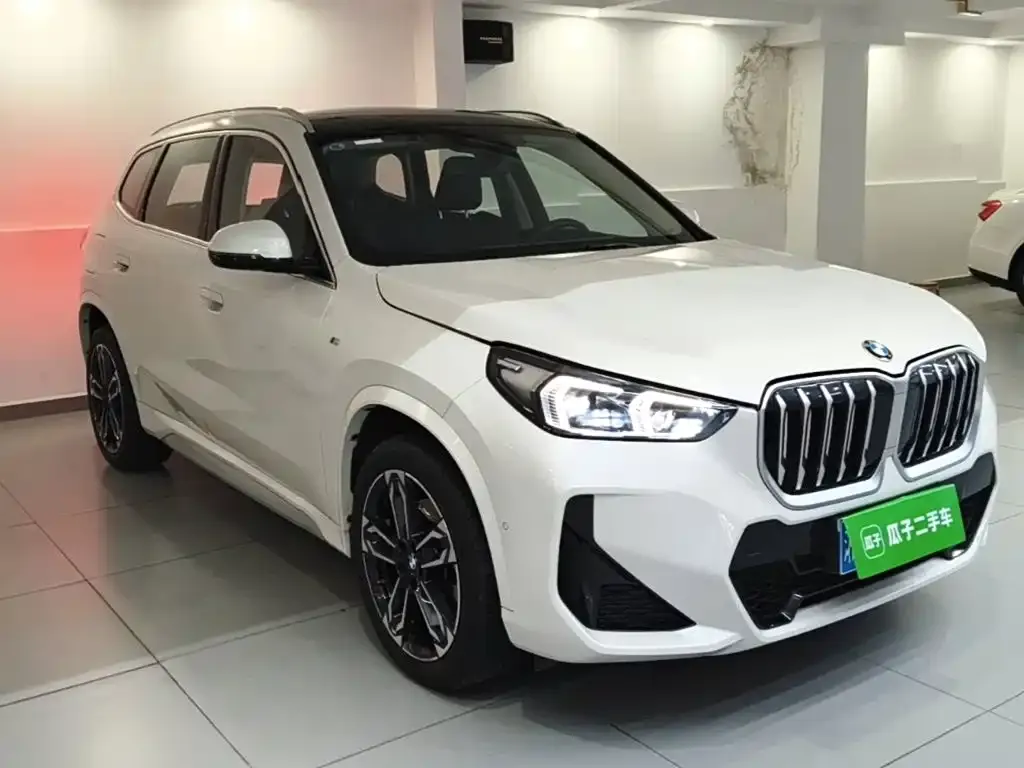 BMW X1 — фото 10