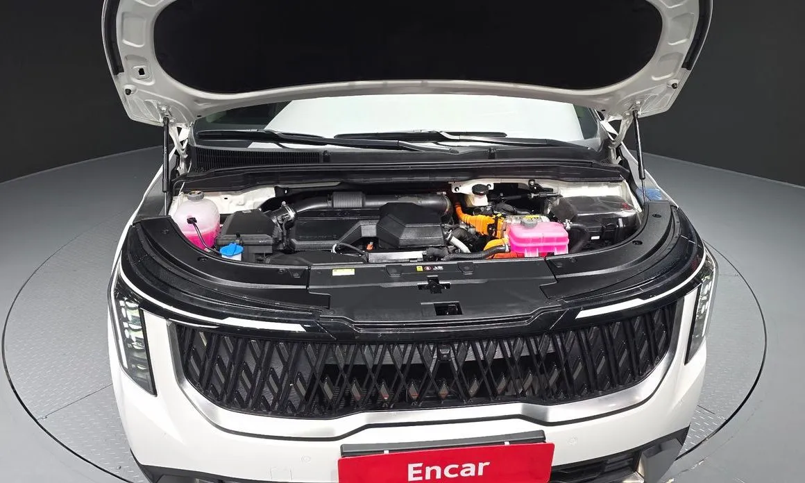 Kia Carnival — фото 10