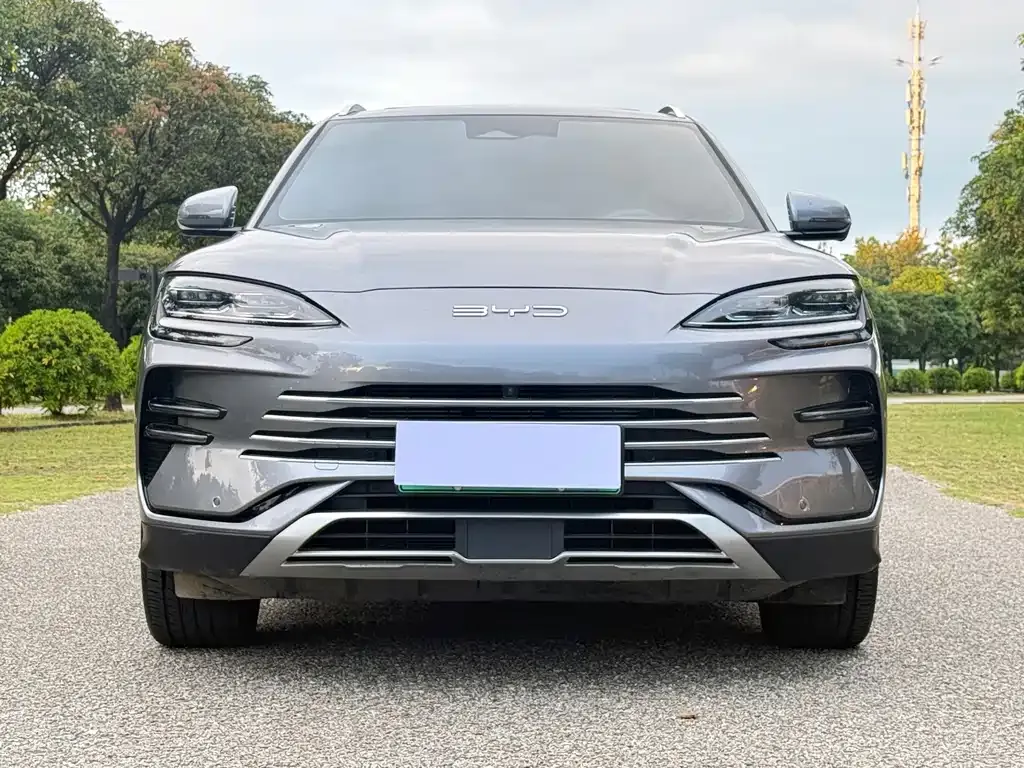 BYD PLUS New Energy — фото 3