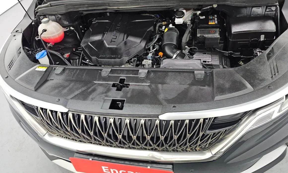 Kia Carnival — фото 10