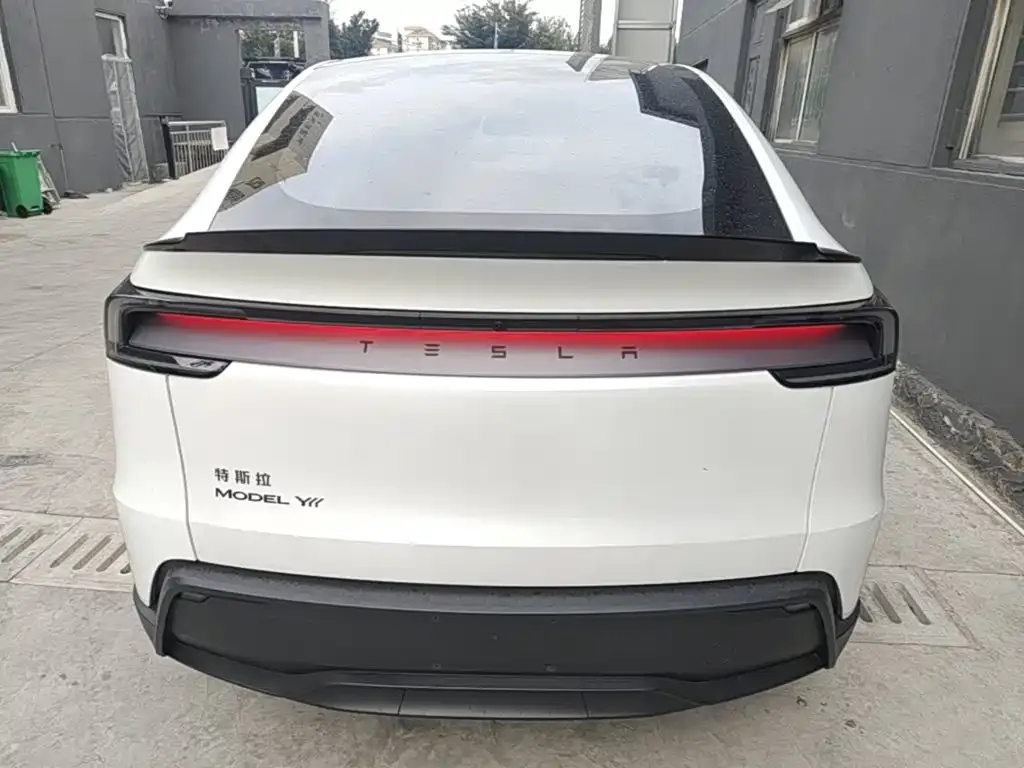 Tesla Model Y — фото 10