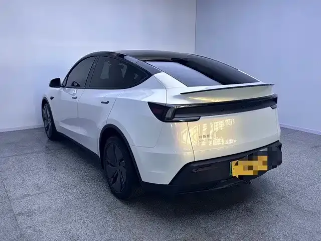 Tesla Model Y — фото 8