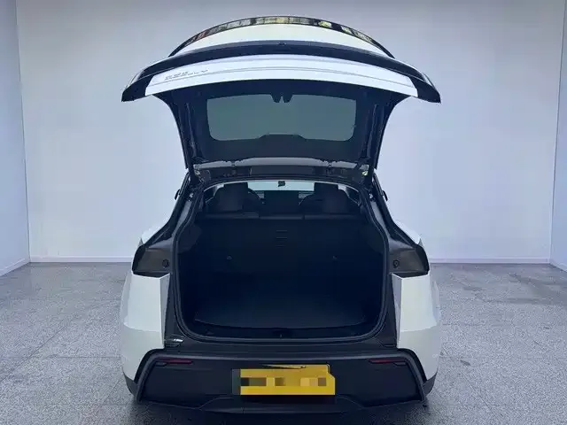 Tesla Model Y — фото 10
