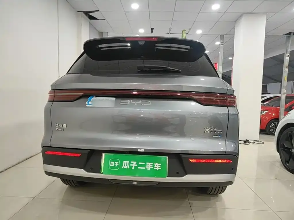 BYD Pro New Energy — фото 8