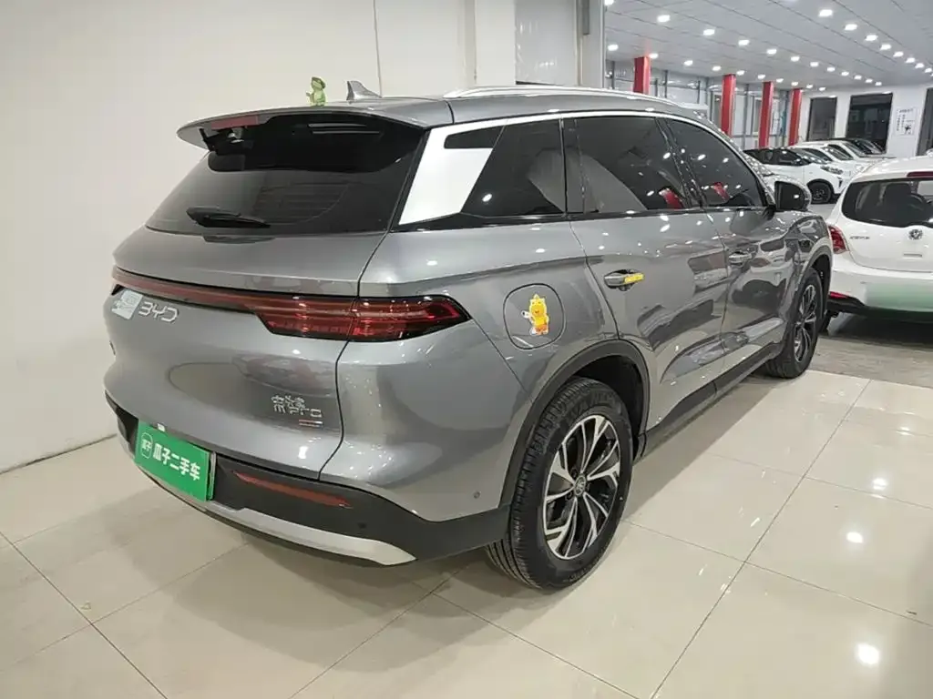 BYD Pro New Energy — фото 3