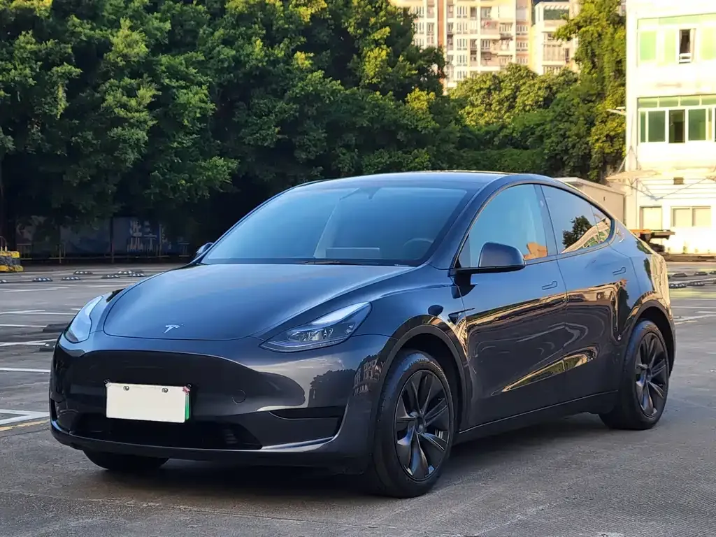 Tesla Model Y — фото 1