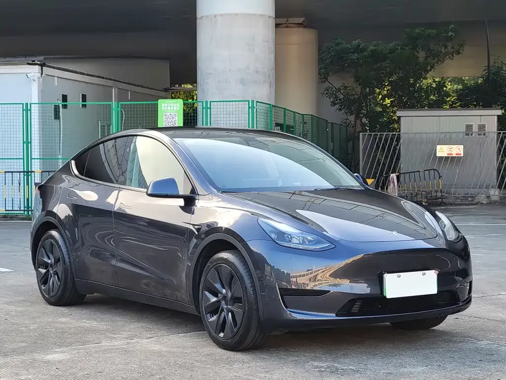 Tesla Model Y — фото 6