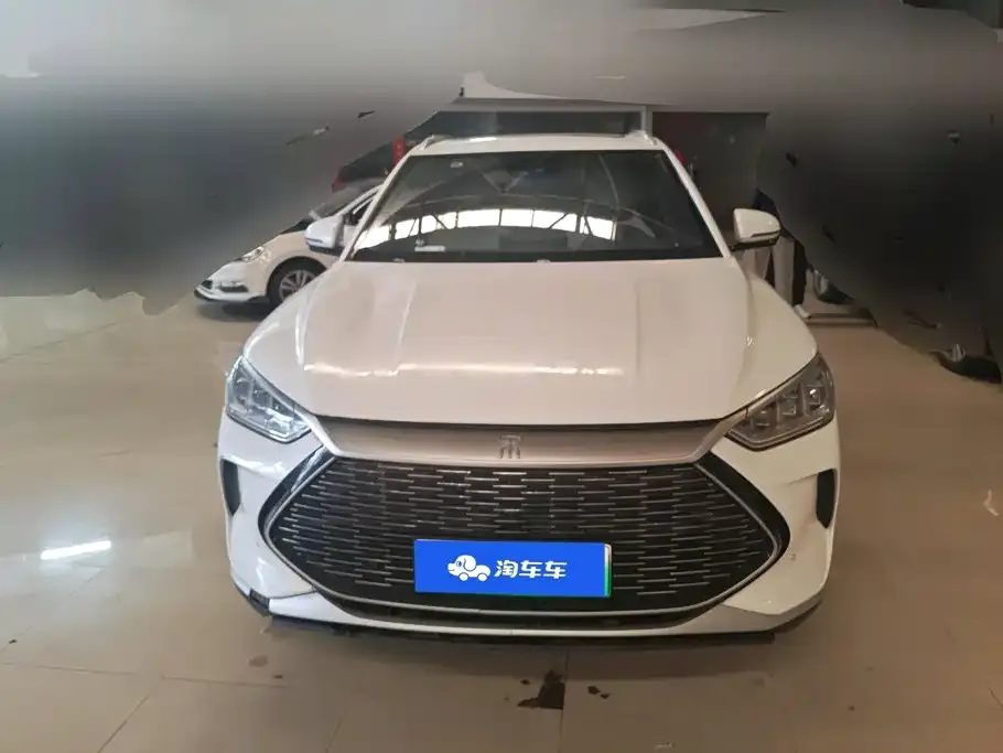 BYD PLUS New Energy — фото 8