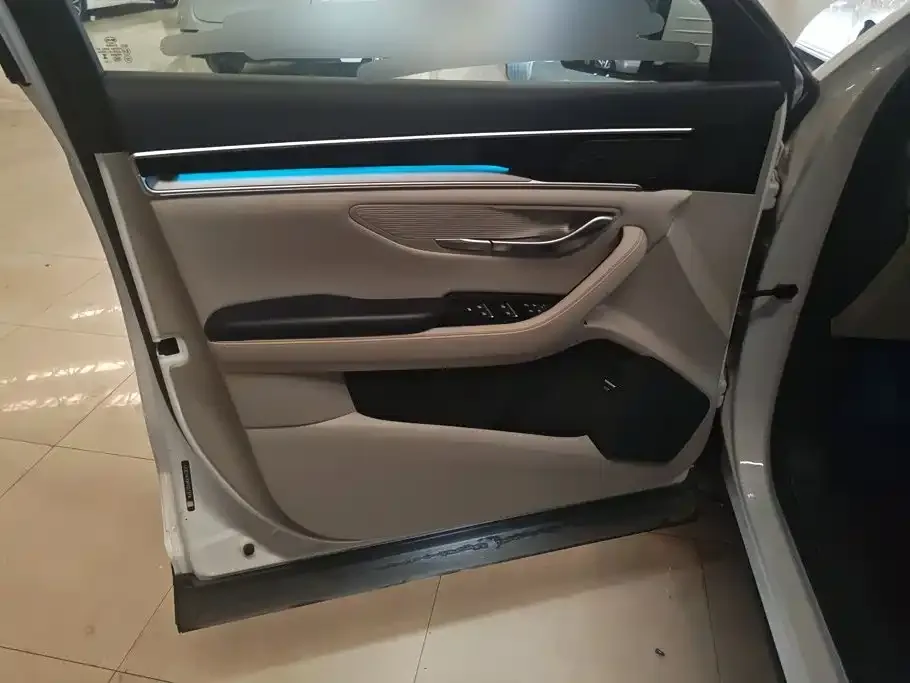 BYD PLUS New Energy — фото 10