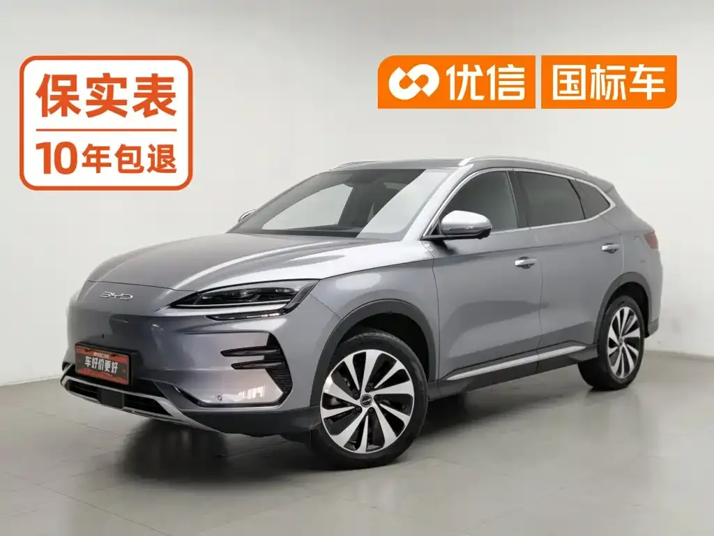BYD PLUS New Energy — фото 1