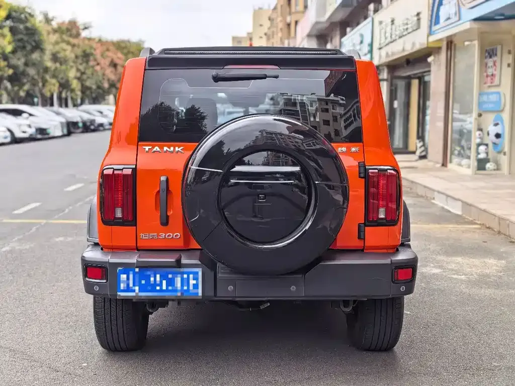 Tank 300 — фото 9