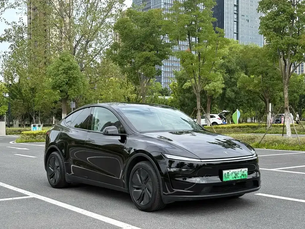 Tesla Model Y — фото 5