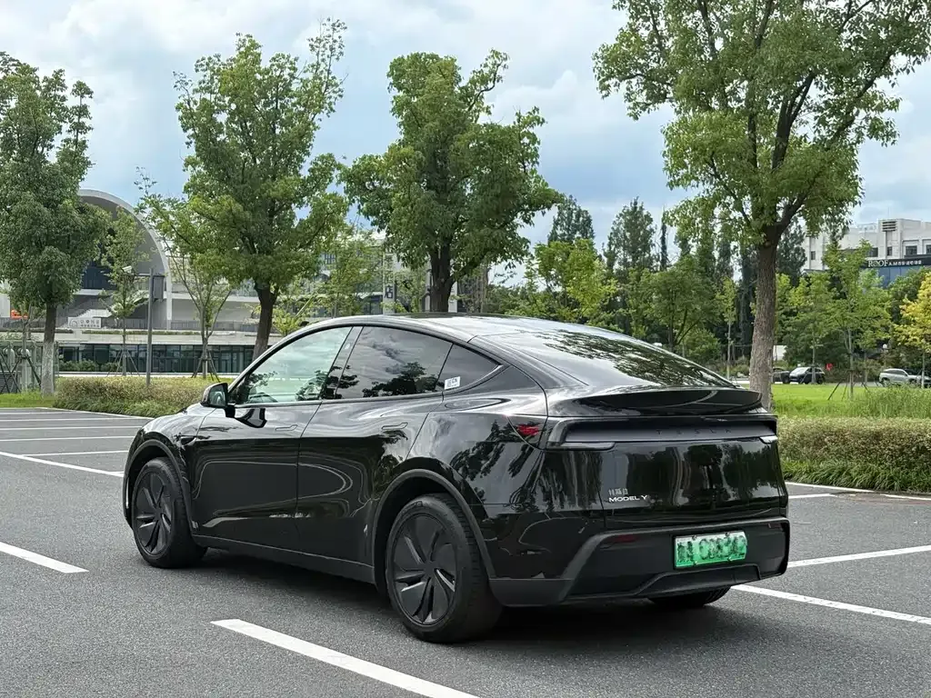 Tesla Model Y — фото 4