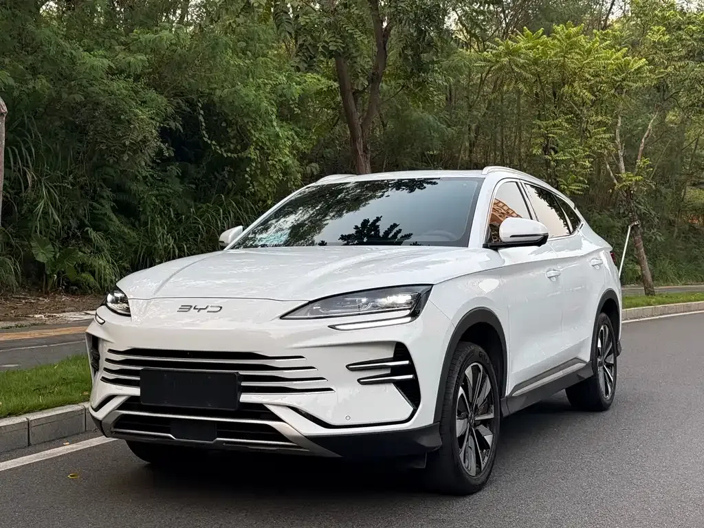 BYD PLUS New Energy — фото 1