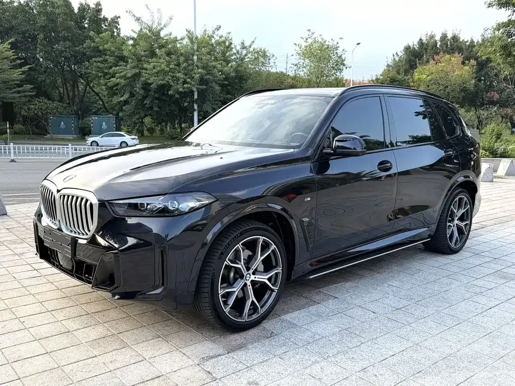BMW X5 — фото 1