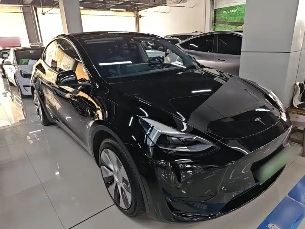 Tesla Model Y — фото 9
