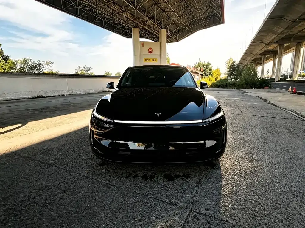 Tesla Model Y — фото 1