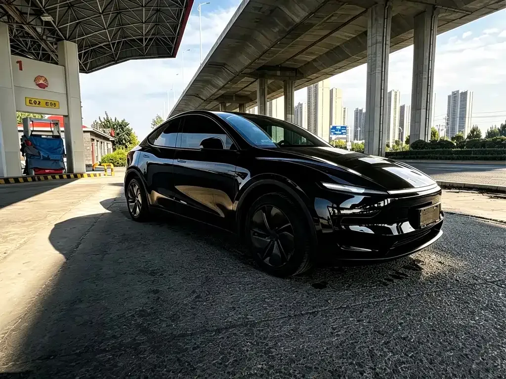 Tesla Model Y — фото 8