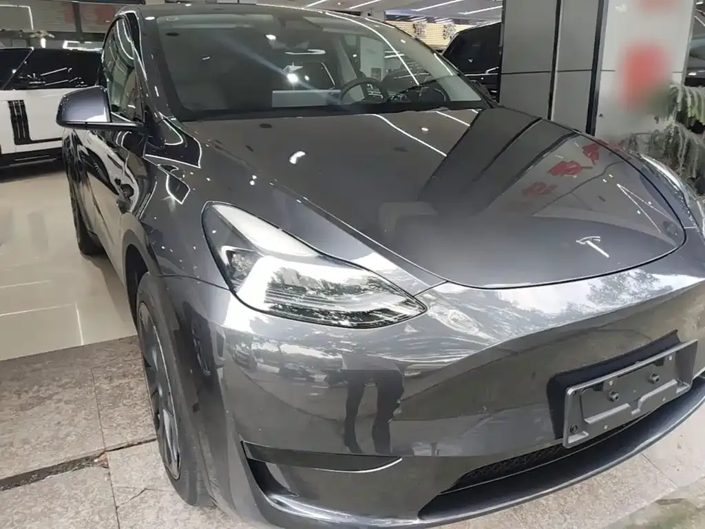 Tesla Model Y — фото 2