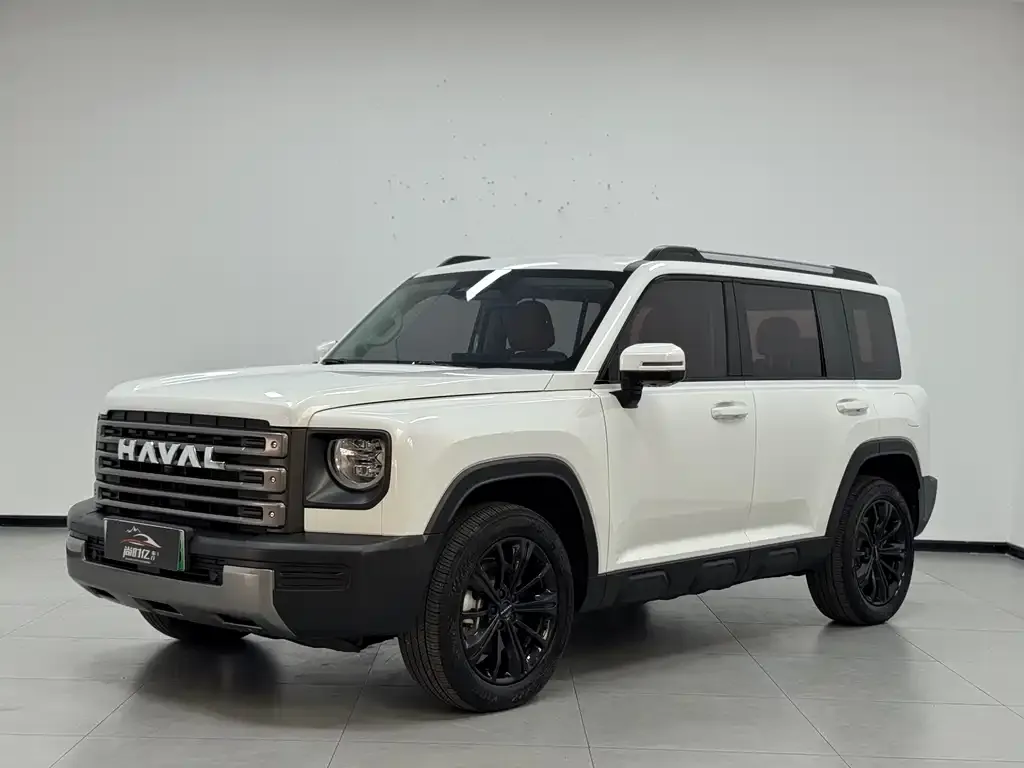 Haval Menglong New Energy — фото 1