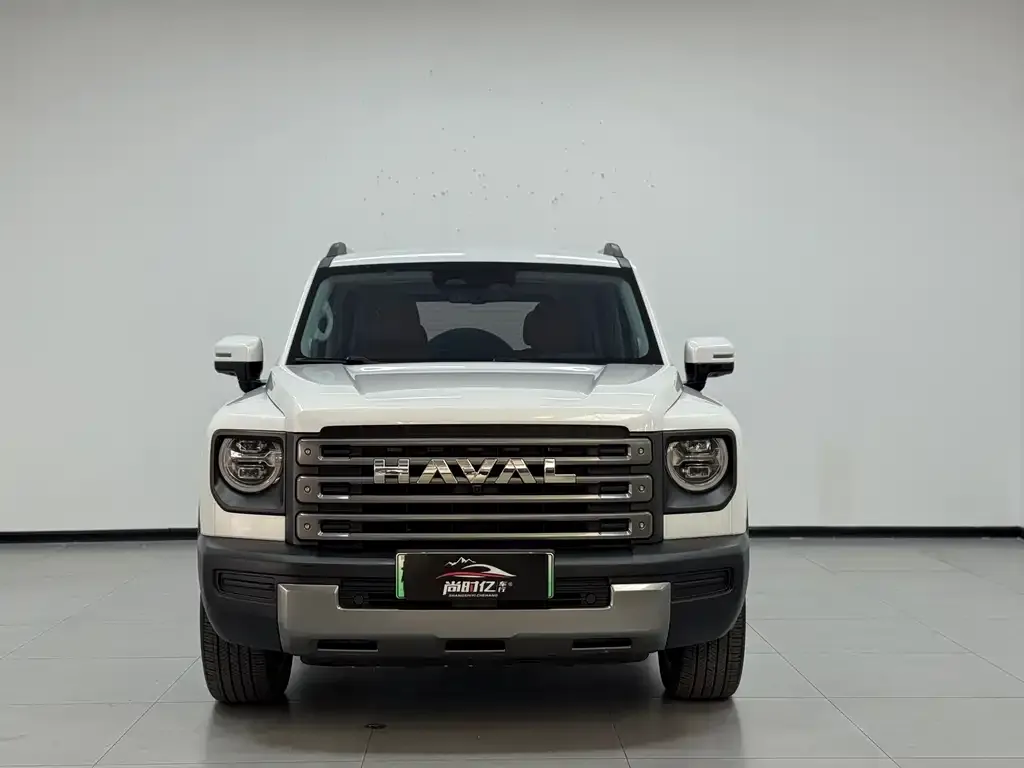 Haval Menglong New Energy — фото 4