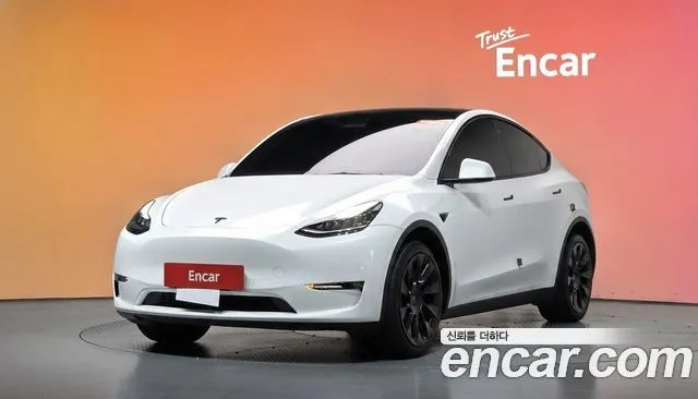 Tesla Model Y — фото 1