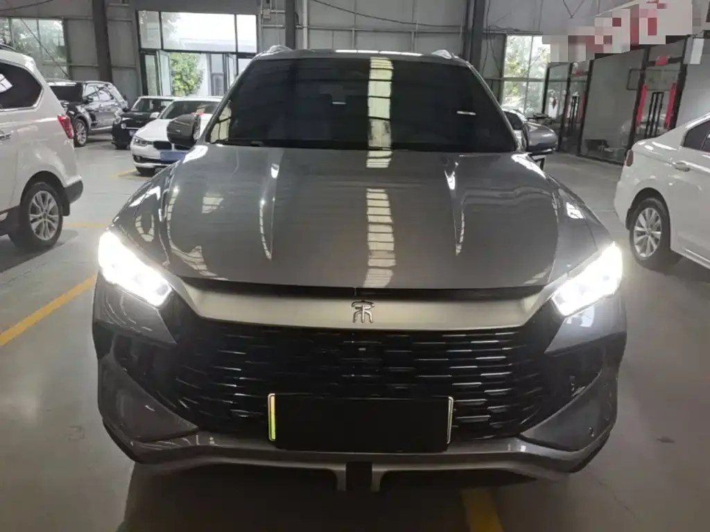 BYD Pro New Energy — фото 5