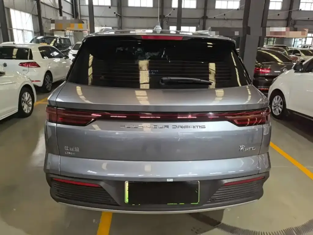BYD Pro New Energy — фото 4