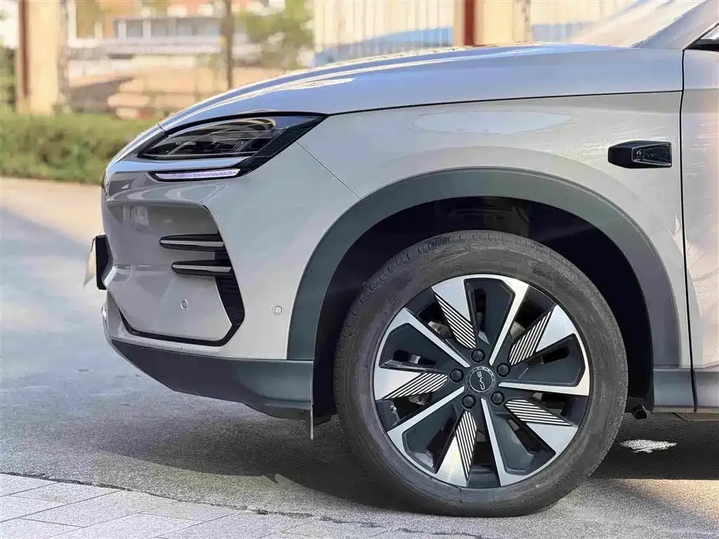 BYD PLUS New Energy — фото 4