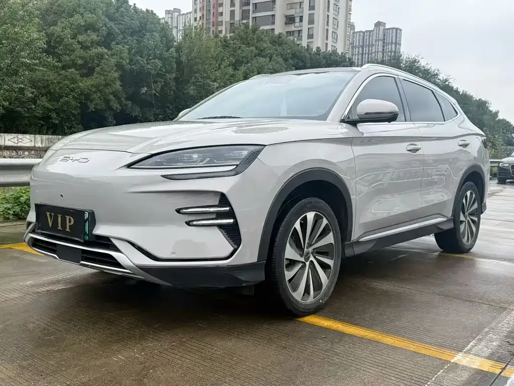 BYD PLUS New Energy — фото 1