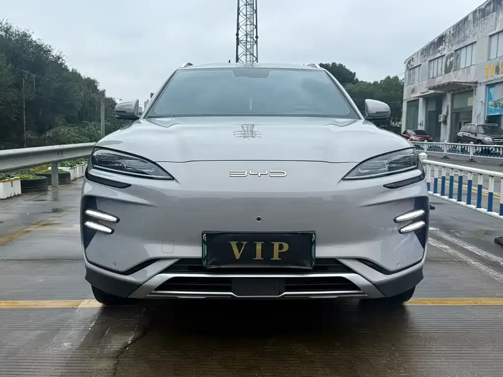BYD PLUS New Energy — фото 8