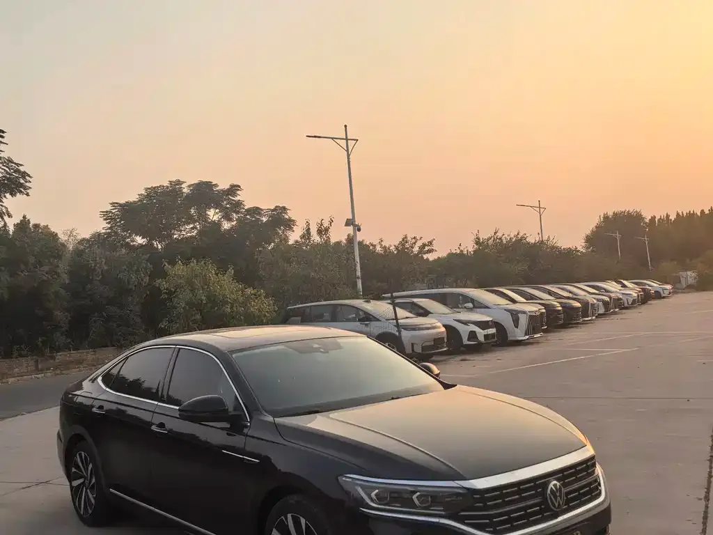 Volkswagen Passat — фото 5