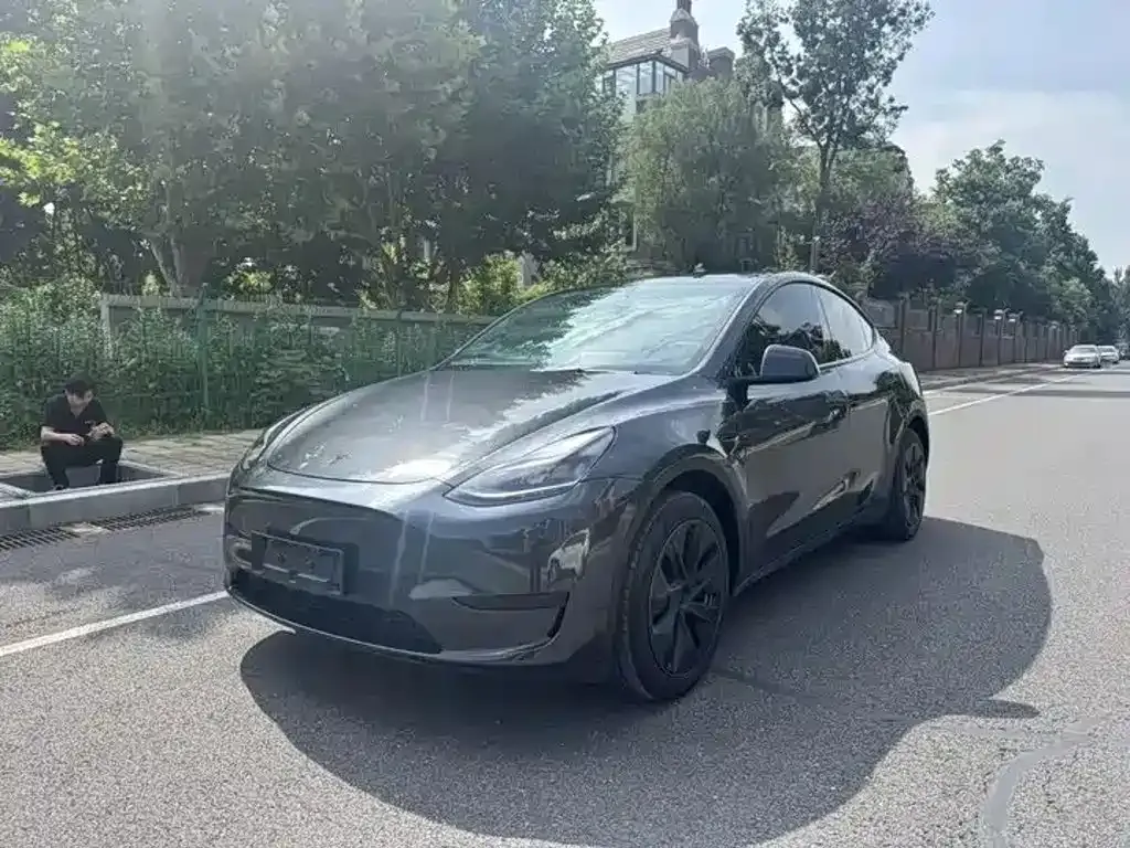 Tesla Model Y — фото 1