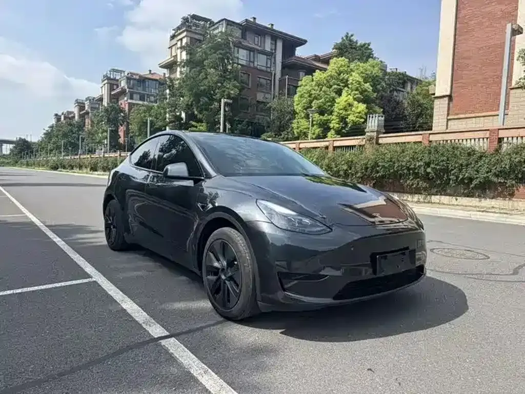 Tesla Model Y — фото 9
