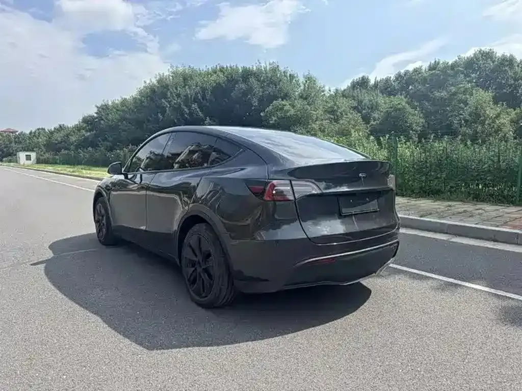Tesla Model Y — фото 10