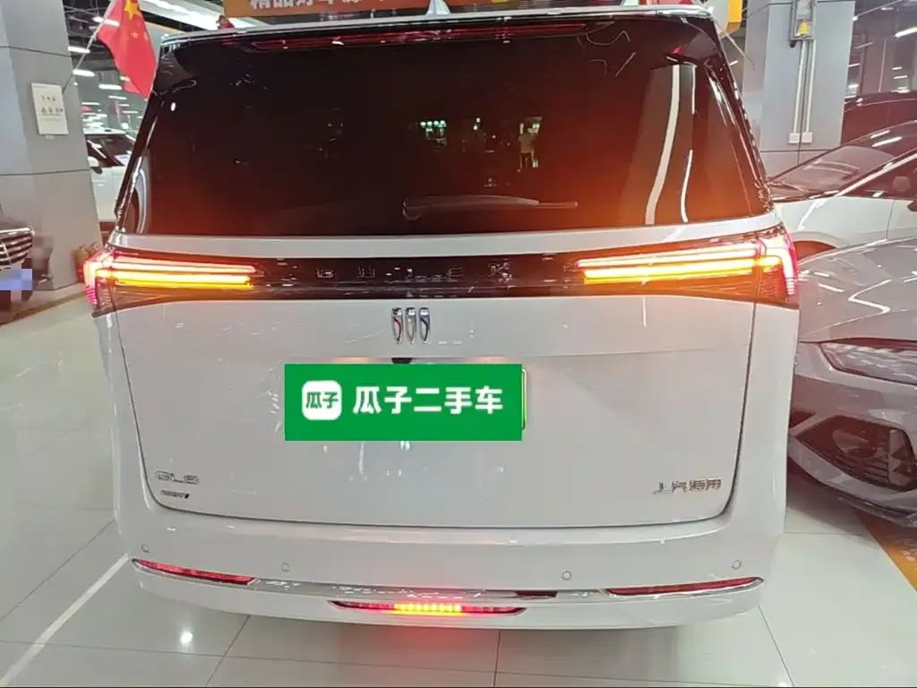 Buick GL8 Hybrid — фото 3
