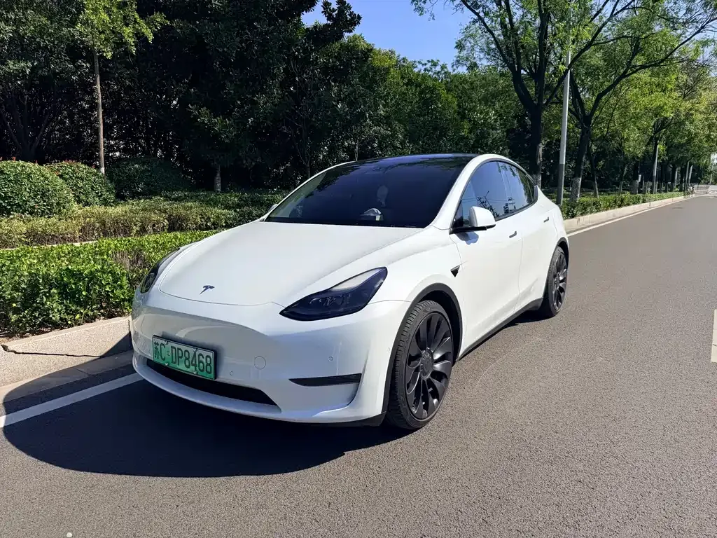 Tesla Model Y — фото 1