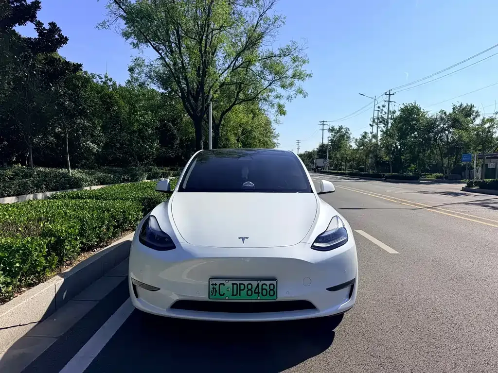 Tesla Model Y — фото 8