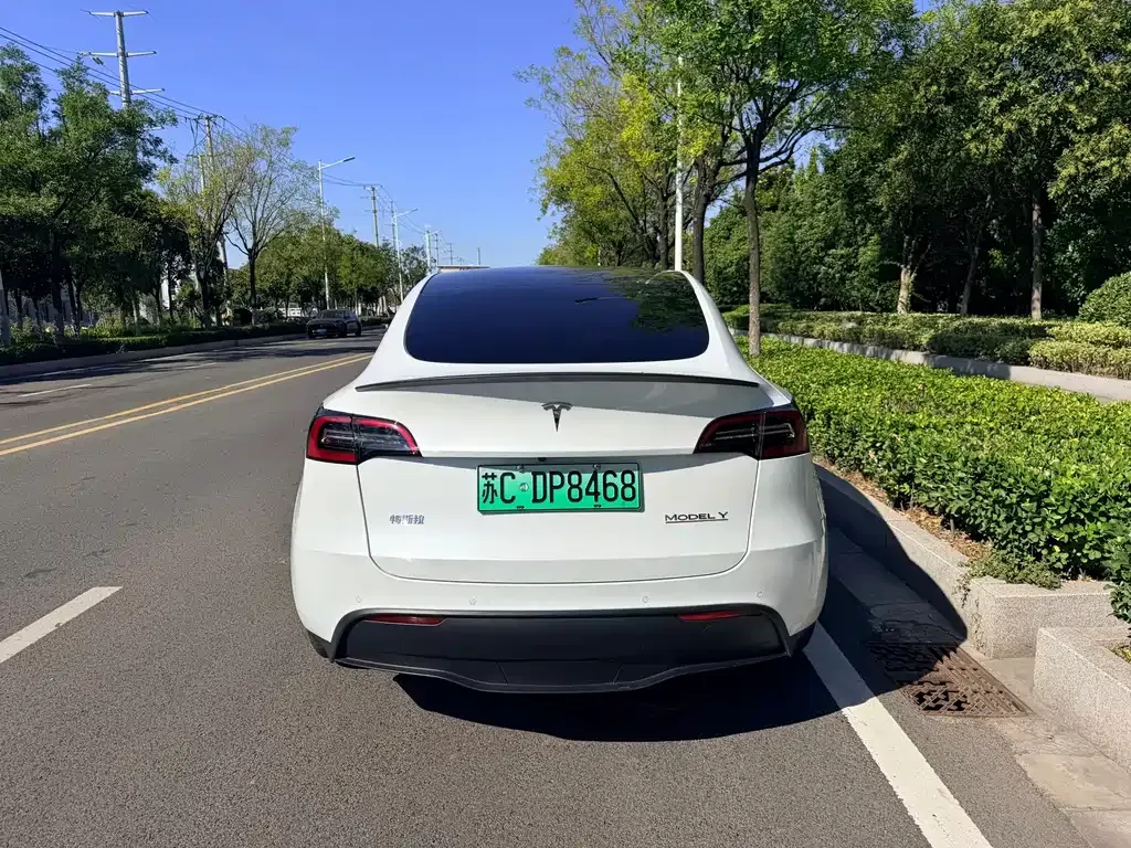 Tesla Model Y — фото 9