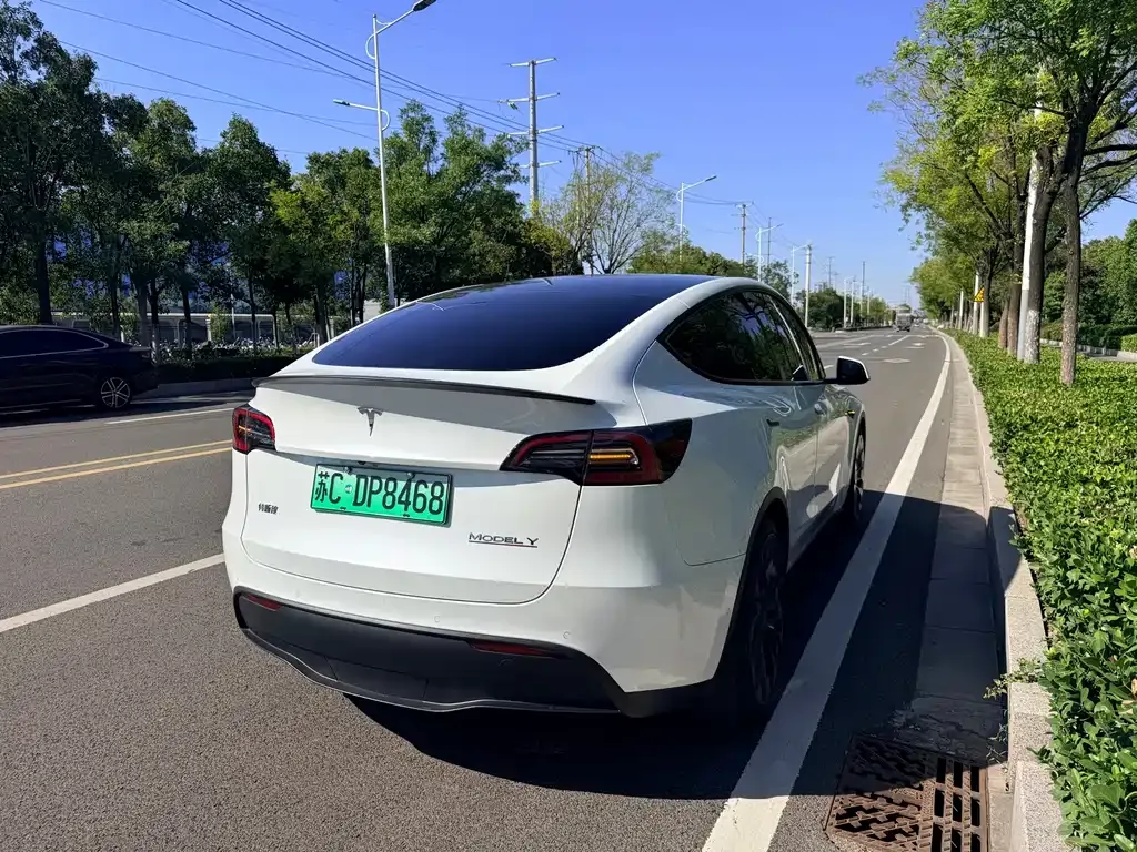 Tesla Model Y — фото 7
