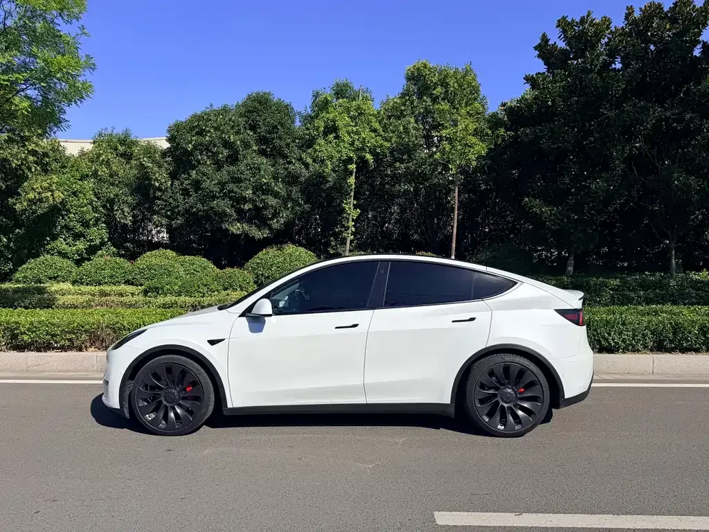 Tesla Model Y — фото 10