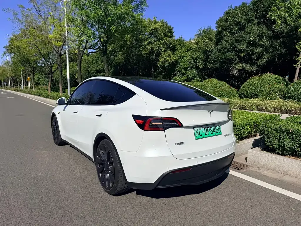 Tesla Model Y — фото 6