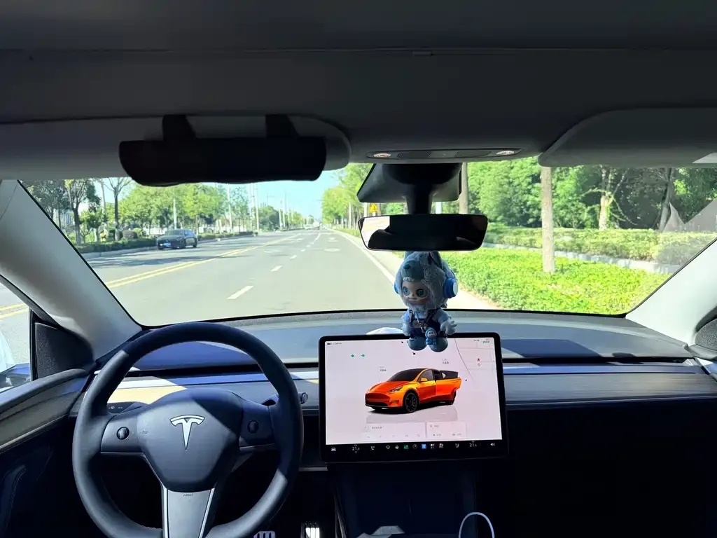 Tesla Model Y — фото 2
