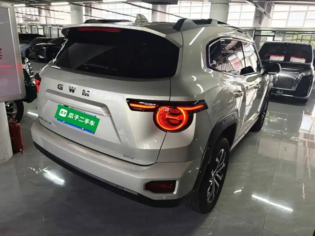 Haval Big Dog PLUS — фото 10