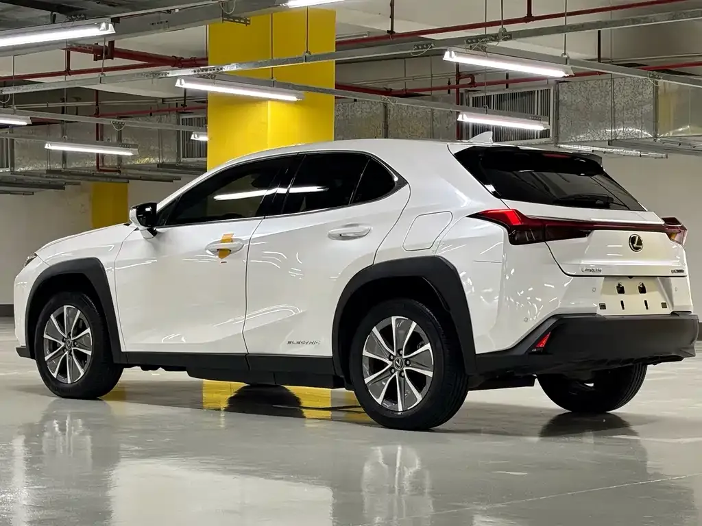 Lexus UX New Energy — фото 6