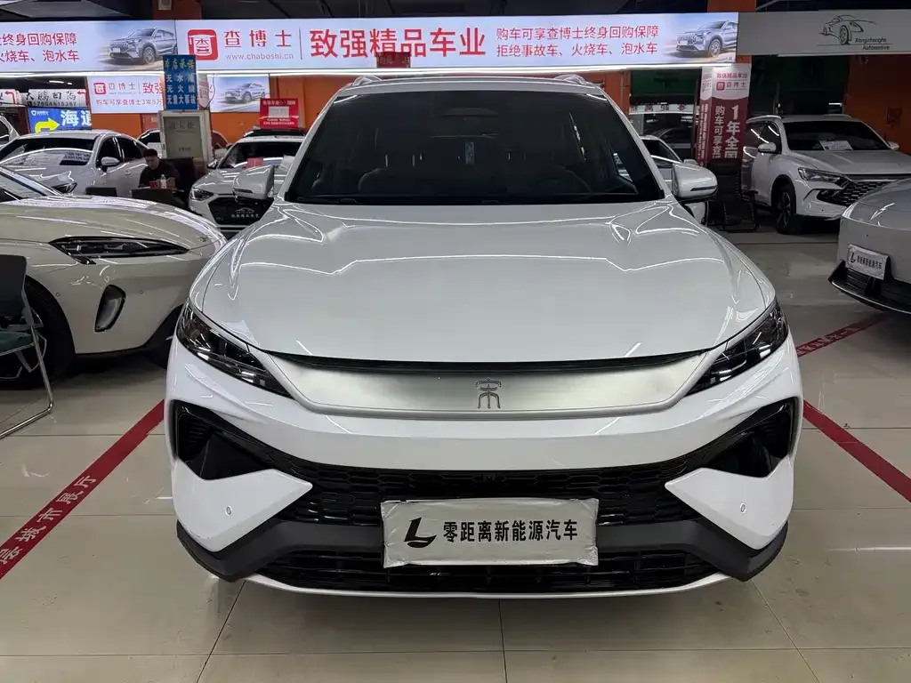 BYD Pro New Energy — фото 2